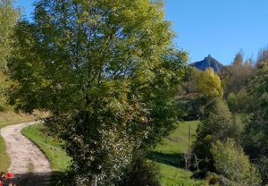 Photo du gite La Grange Neuve, à Montferrier dans l'Ariège, exterieur chemin chateau
